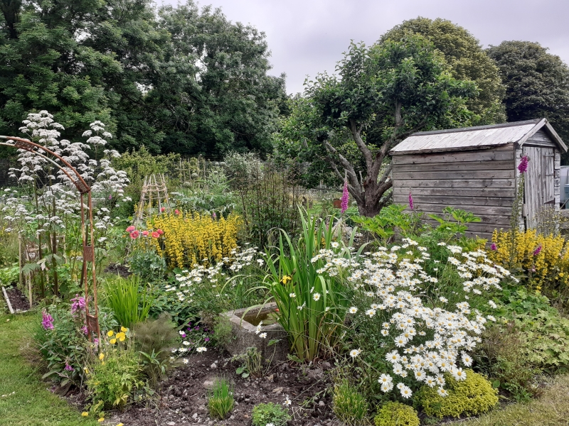 Aberystwyth Allotments